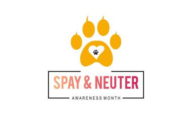 Spay ve Neuter farkındalık ayı. Pankart, poster, arkaplan için vektör şablonu.