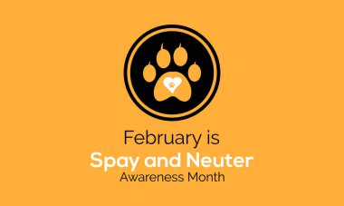 Spay ve Neuter farkındalık ayı. Pankart, poster, arkaplan için vektör şablonu.