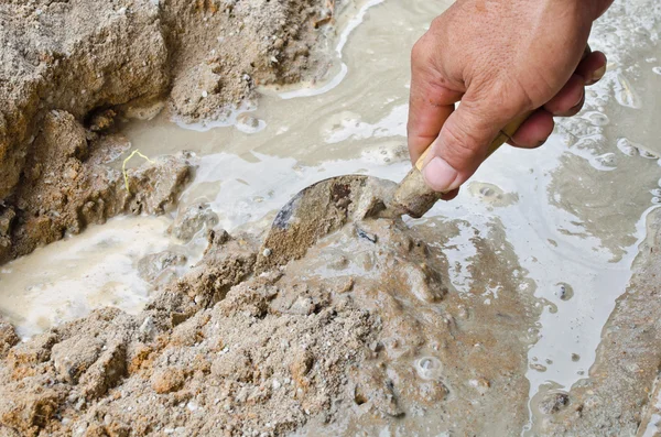 taze beton yayılan mason el