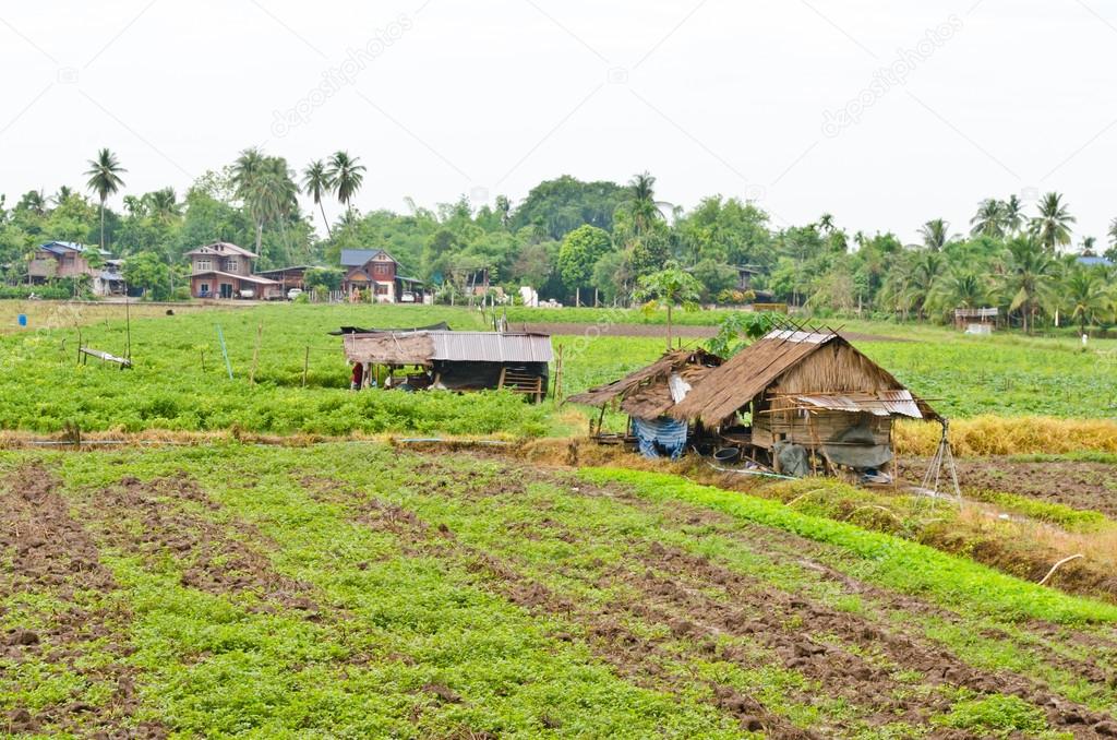 Farm houses