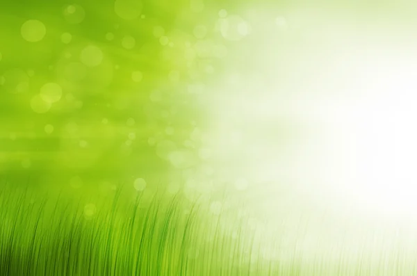 Natur Hintergrund mit Gras und Bokeh Lichter. Stockbild