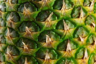 Textured surface of pineapple in full length as a background. Pineapple skin close up.