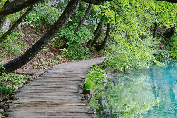 Estrecha pasarela de madera en el parque verde. Hermoso paisaje con río de montaña en Croacia, Europa — Foto de Stock