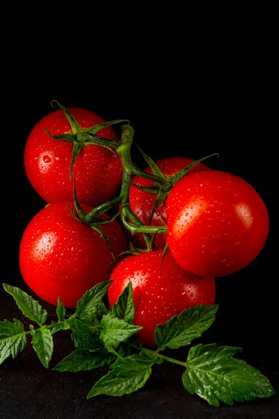 Reife Bio-Tomaten auf dem schwarzen Tisch mit Wassertropfen — Stockfoto