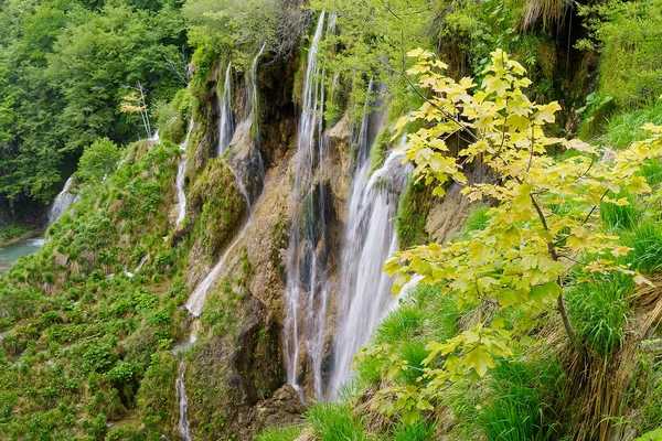 Magnifique parc cascade au parc national du lac de Croatie — Photo