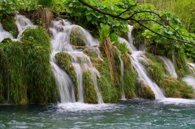 Hırvatistan Gölü Ulusal Parkı 'ndaki Güzel Şelale Parkı