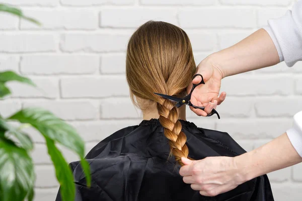 Женщина пожертвования волос для людей с раком. Концепция донорства волос. обрезание длинных плетеных волос — стоковое фото