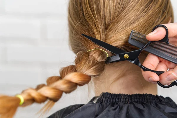 Woman hair donations for people with cancer. Concept of hair donation. cutting off long braided hair — Stock Photo, Image