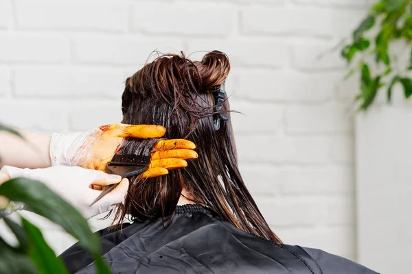 Νεαρή γυναίκα χτενισμένα χέρια βαφή μακριά μαλλιά σε όμορφο κορίτσι. Βαφή μαλλιών κουρέα εφαρμόζεται με ένα πινέλο — Φωτογραφία Αρχείου