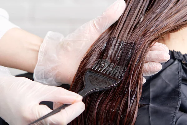 Joven mujer peinado manos teñir pelo largo a hermosa chica. tinte de peluquero se aplica con un cepillo — Foto de Stock