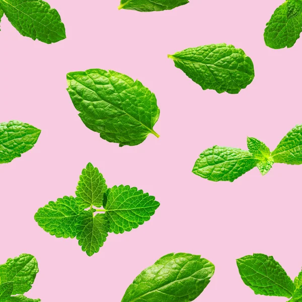 Patrón sin costuras de hojas de menta fresca sobre fondo rosa — Foto de Stock