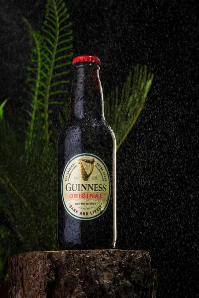 Tallinn, Észtország - 2022. március: Guinness-palack. A Guinness sört 1759 óta gyártják Írországban. — Stock Fotó