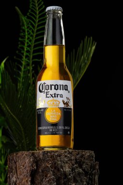 Tallinn, Estonya - Mart 2022: Koyu tropikal zemin üzerine Corona Extra birasının editör fotoğrafı