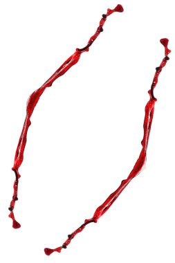 İzole edilmiş kırmızı şarap beyaz arkaplanda sıçramış.