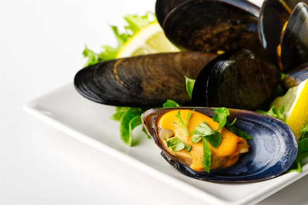 Plato de mariscos. Platos de mariscos. Mejillones en salsa. — Foto de Stock