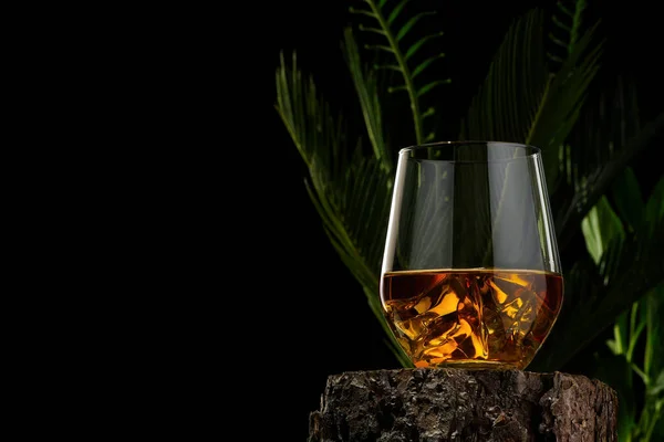 Wisky glas på trä log på svart bakgrund. Wisky glas utan is — Stockfoto