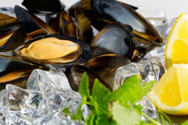 Kabuklu deniz ürünleri. Deniz ürünleri tabakları. Soslu midyeler..