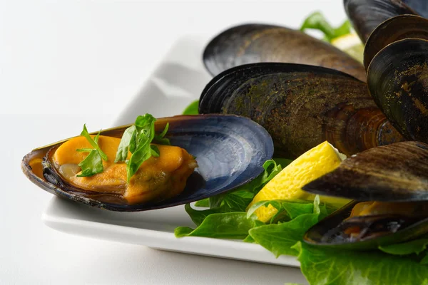 Plato de mariscos. Platos de mariscos. Mejillones en salsa. — Foto de Stock