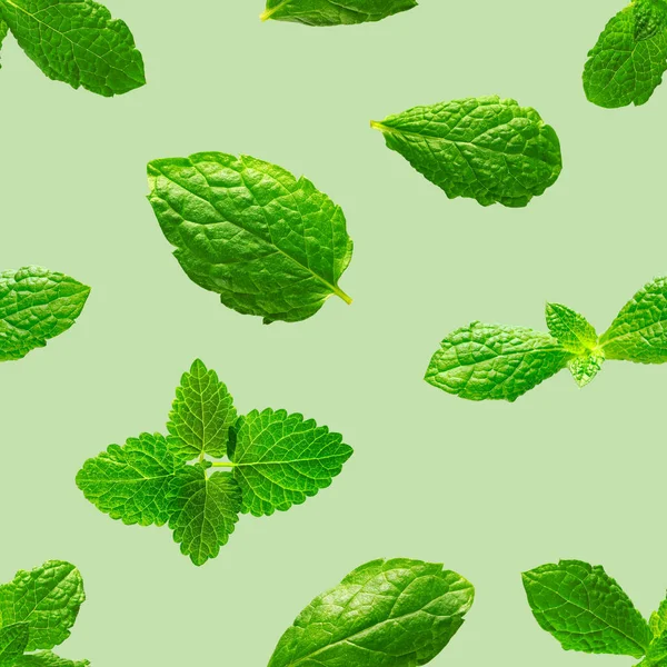 緑の背景に新鮮なミントの葉のシームレスなパターン — ストック写真