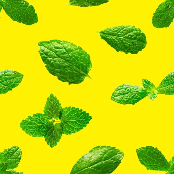 Patrón sin costuras de hojas de menta fresca sobre fondo amarillo — Foto de Stock