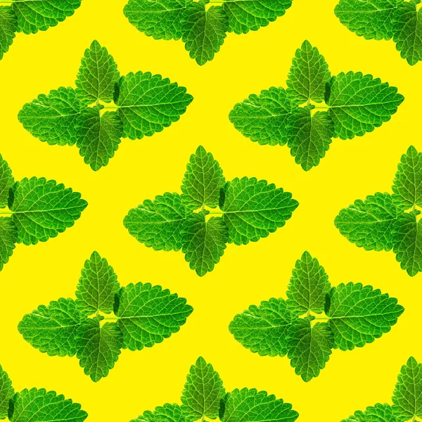 Patrón sin costuras de hojas de menta fresca sobre fondo amarillo — Foto de Stock
