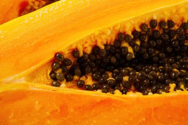 Olgun papaya 'ya yakın. Bir Papaya 'nın İçi' nin görüntüsü. Tatlı tropikal meyve