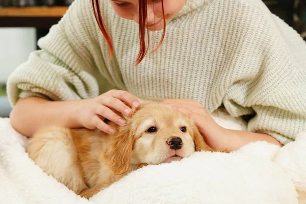 Enfant Avec Chiot Mignon Fille Avec Chiot Doré Hovawart Maison — Photo