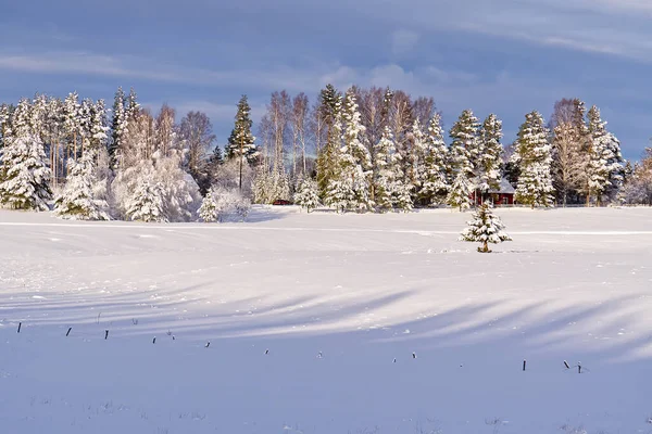 Paysage Hivernal Nordique Vue Panoramique Couvert Gelées Dans Les Neiges — Photo