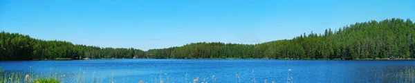 Bella Foresta Lago Con Bel Riflesso Vista Panoramica Del Bellissimo — Foto Stock