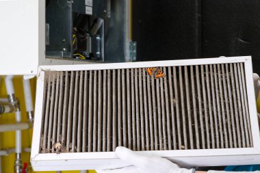 HVAC filtresinin değiştirilmesi gerekiyor, eski kirli filtre tozla kaplanacak. Ev merkezi havalandırma sistemi için Kirli Hava filtresi.