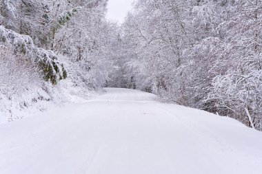 Şiddetli bir kar fırtınası sırasında ormanın ortasındaki yol. İskandinavya Kış manzarası