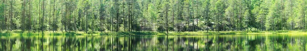 Beautiful forest lake with nice reflection. Panoramic view of beautiful lake landscape in Scandinavia forest. Landscape wide banner