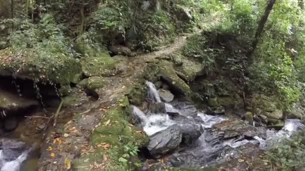 Vista Trilha Dourada Parque Nacional Serra Bocaina Rio Janeiro Brasil — Vídeo de Stock