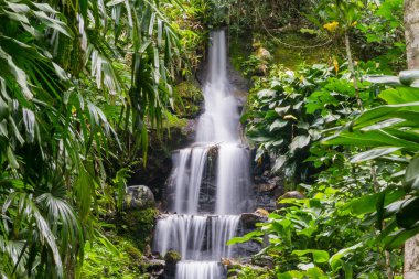 Rio de Janeiro 'da bir şelalenin düşüşü.