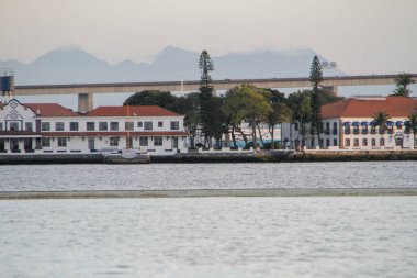 Rio de Janeiro 'daki yılan adası.