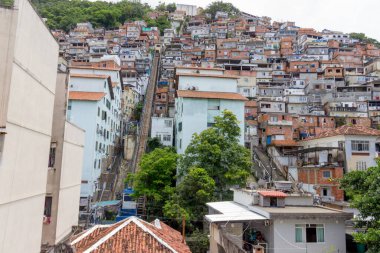 Rio de Janeiro 'daki Copacabana' daki tavus kuşu tepesinin manzarası.