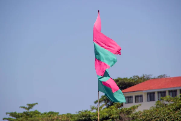 Flag Green Pink Honor Mango Samba School Blue Sky Background — Stock Photo, Image