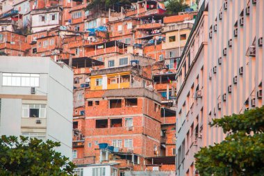 Rio de Janeiro, Brezilya 'da Copacabana' da gecekondu tavus kuşu.