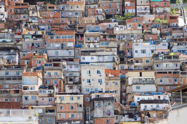 Rio de Janeiro, Brezilya 'daki Copacabana mahallesindeki tavus kuşu gecekondu manzarası.