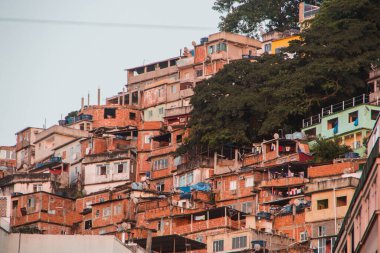 Rio de Janeiro, Brezilya 'da Copacabana' da gecekondu tavus kuşu.