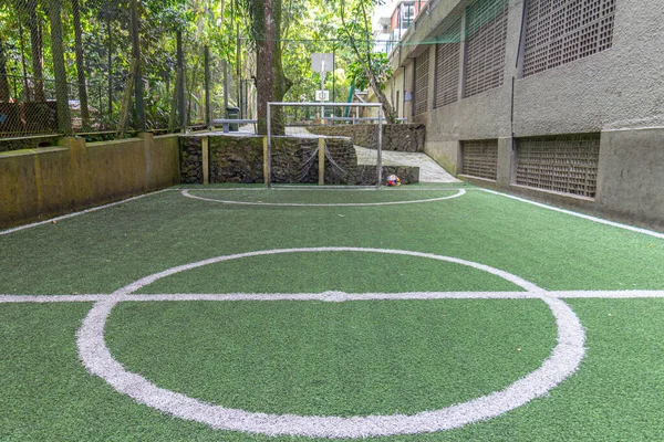 synthetic grass soccer field in Rio de Janeiro, Brazil.