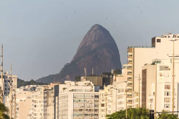 Dois Morros Irmãos Atendidos Bairro Copacabana Rio Janeiro Brasil — Fotografia de Stock