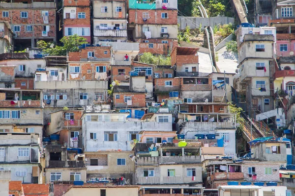 View Peacock Favela Copacabana Neighborhood Rio Janeiro Brazil — Stock Photo, Image