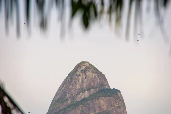 Two Hill Brother Seen Rodrigo Freitas Lagoon Rio Janeiro Brazil — стоковое фото