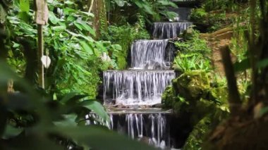 Beautiful waterfall located in the neighborhood of Horto in Rio de Janeiro, Brazil