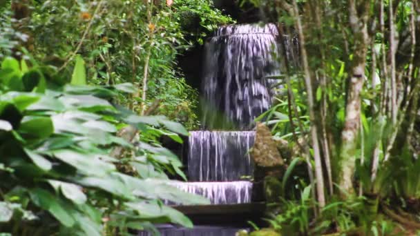 Beautiful Waterfall Located Neighborhood Horto Rio Janeiro Brazil — ストック動画