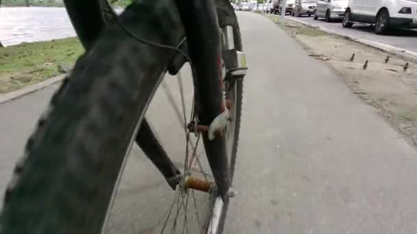 在巴西里约热内卢Rodrigo Freitas泻湖边骑自行车 — 图库视频影像