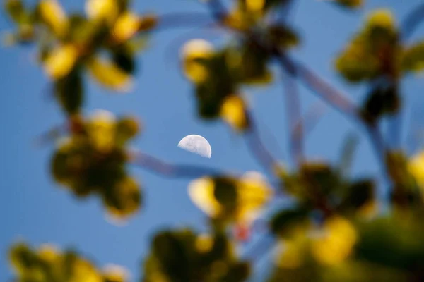 Ждущая Луна Красивом Голубом Небе Утром Рио Жанейро Бразилия — стоковое фото