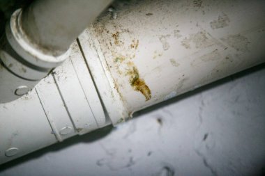 Rio de Janeiro 'daki bir inşaat sahasında plastik su borusu..