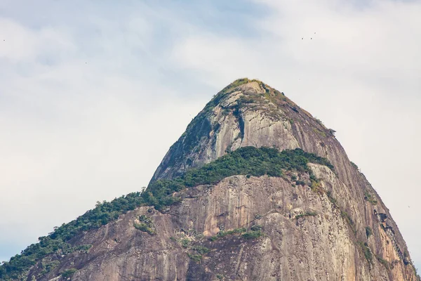 Two Hill Brother Rio Janeiro — Stock fotografie